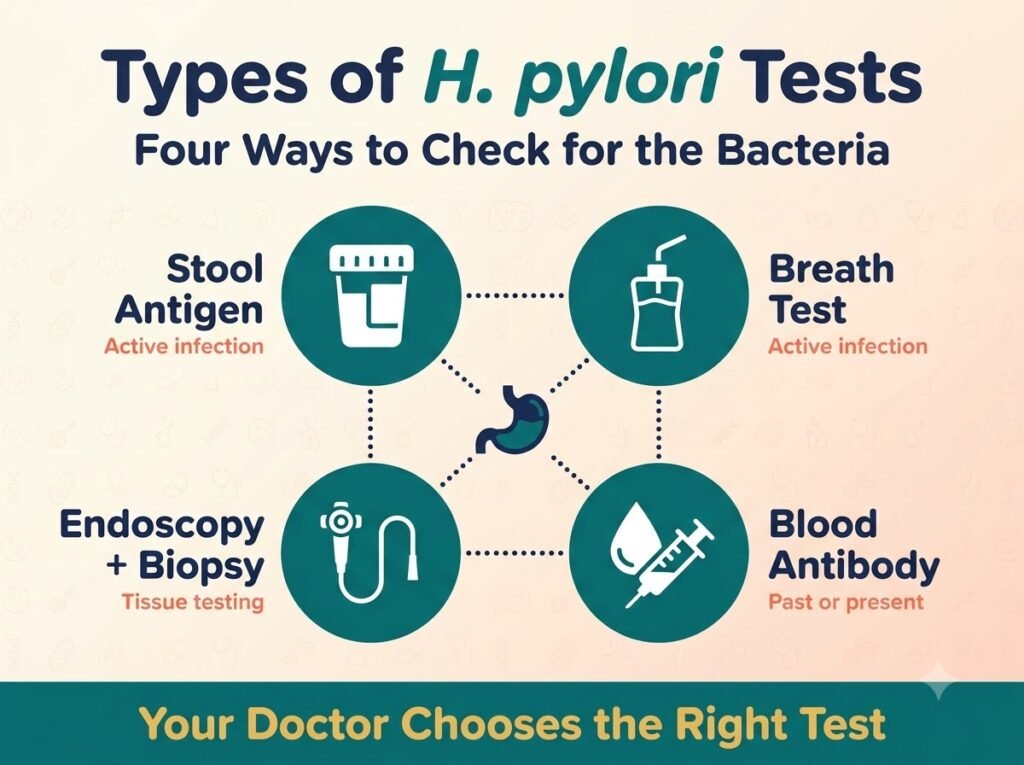 Types of H pylori test: stool antigen, breath test, endoscopy with biopsy and blood antibody test